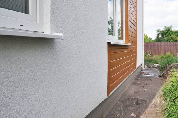 Best Fascia and Soffit Installation  in Douglas, AL