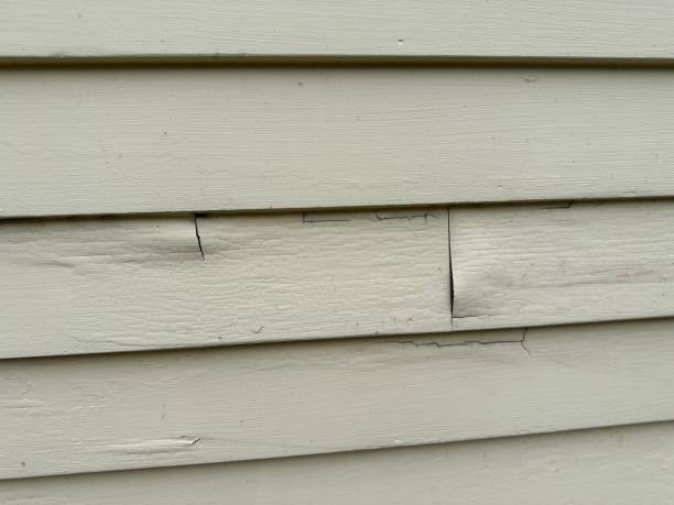 Best Insulated Siding Installation  in Douglas, AL