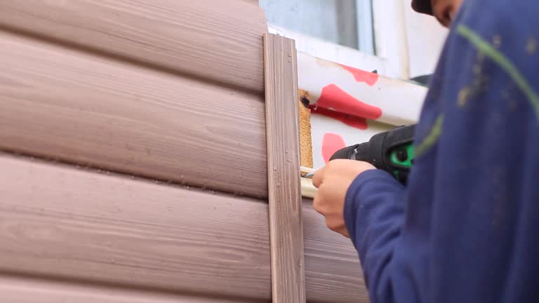 Best Brick Veneer Siding  in Douglas, AL
